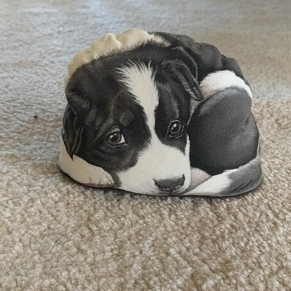 Border Collie puppy door stop